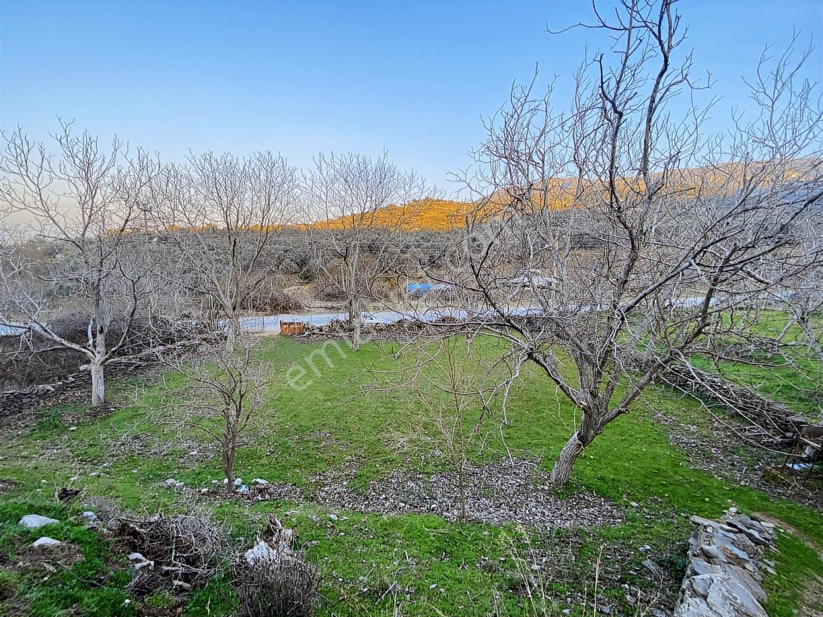 Kent Gayrimenkul'den Şehir İçinde Satılık Mükemmel Zeytinlik - Görsel 31