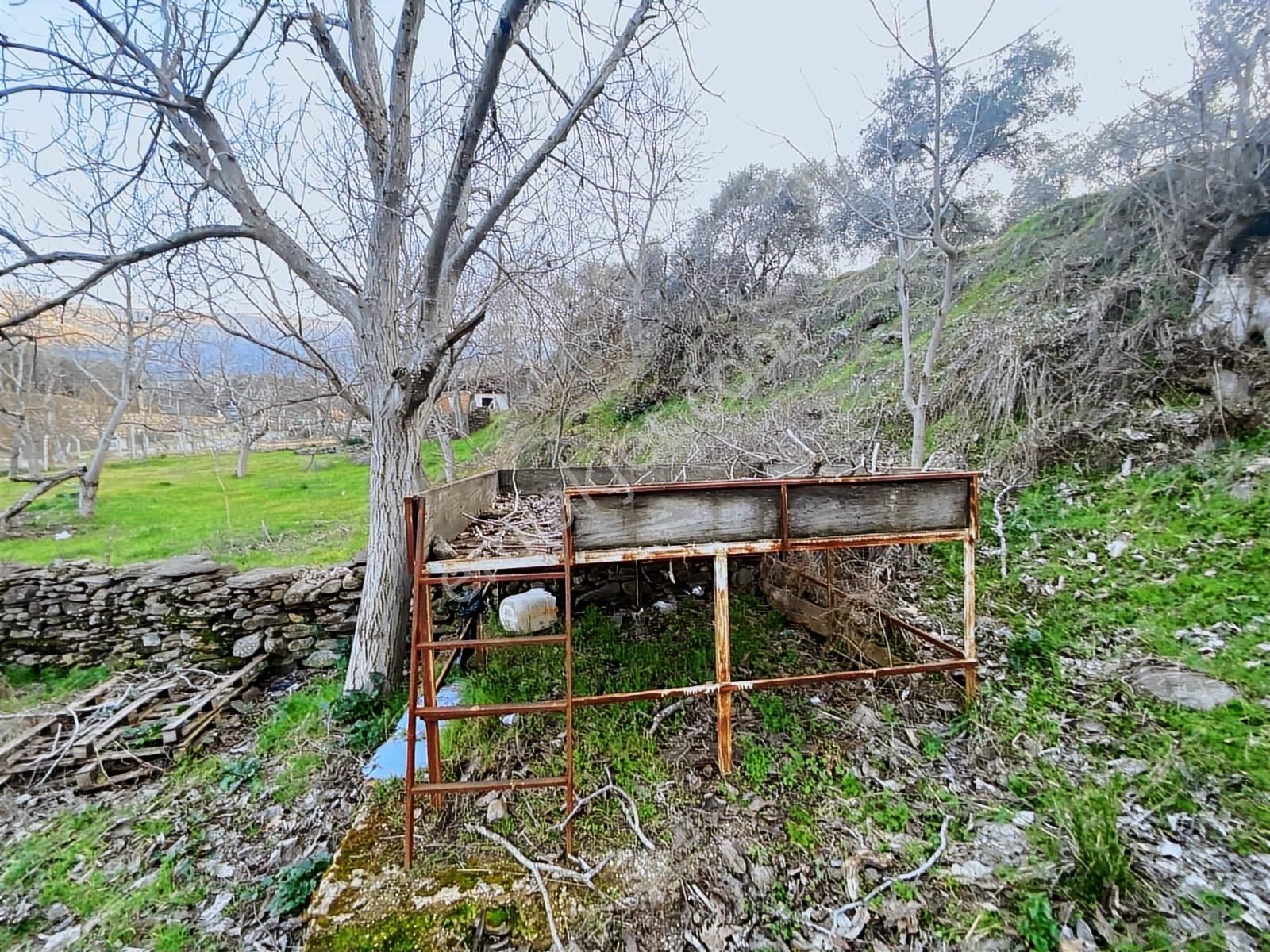 Kent Gayrimenkul'den Şehir İçinde Satılık Mükemmel Zeytinlik - Görsel 8