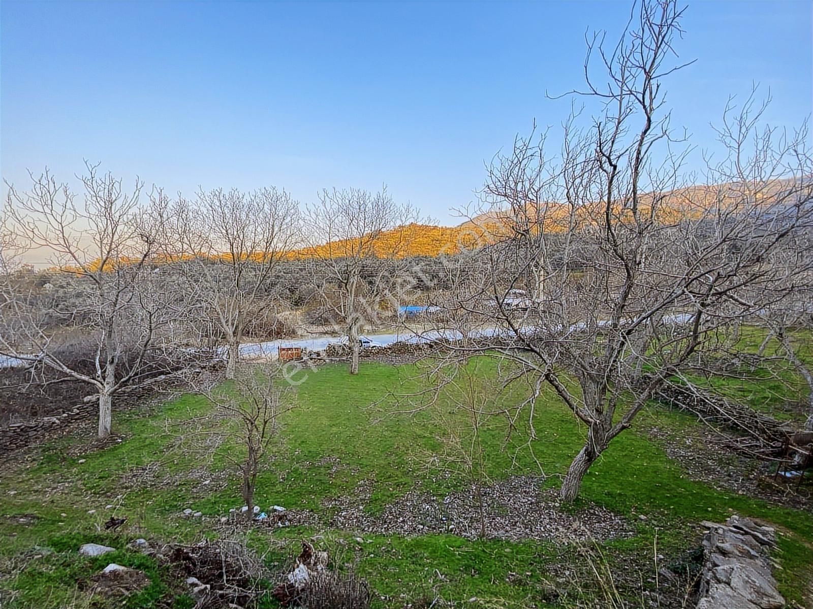 Kent Gayrimenkul'den Şehir İçinde Satılık Mükemmel Zeytinlik - Görsel 33