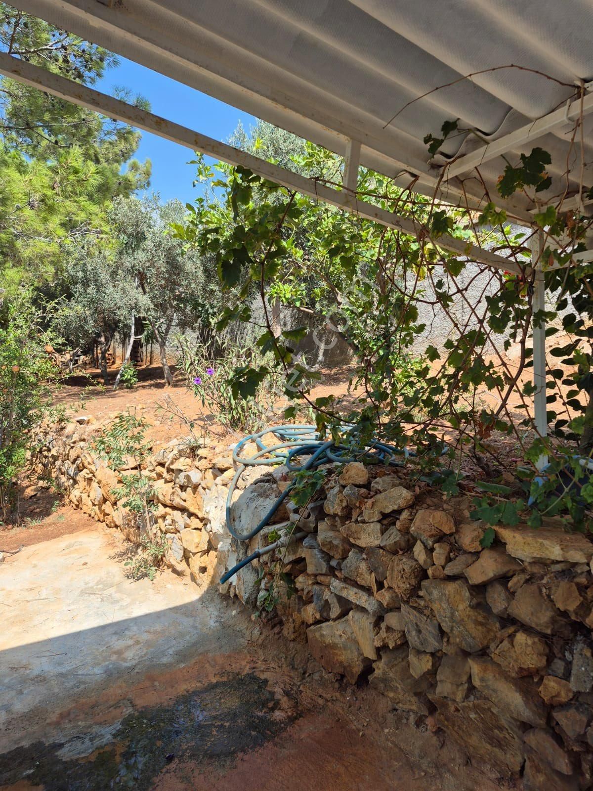 Panoramavi Den Fırsat Tribleks Yazlık - Görsel 5