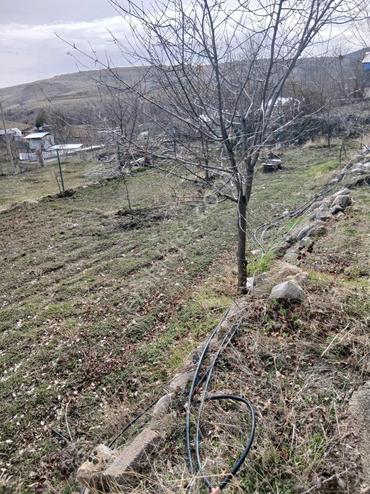 Çayırbağında 290m2 Kurulu Düzen Bahçe Evi Müstakil Tapu - Görsel 30