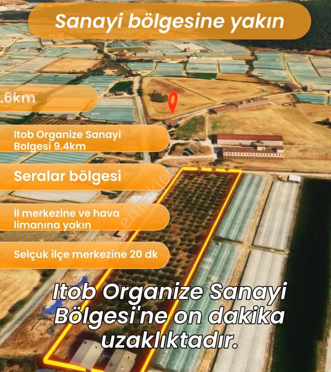 İzmir Memderes Çamönü Mahallesi Emsalsiz Tarla - Görsel 5