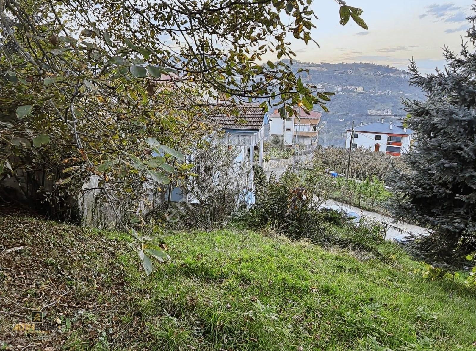 Altın Emlak Trabzon Bengisuda Satılık Arazi Müstakil Evler - Görsel 15