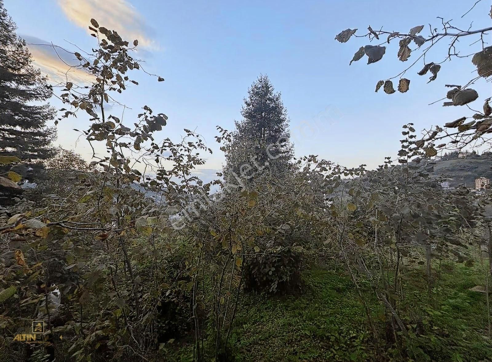 Altın Emlak Trabzon Bengisuda Satılık Arazi Müstakil Evler - Görsel 2