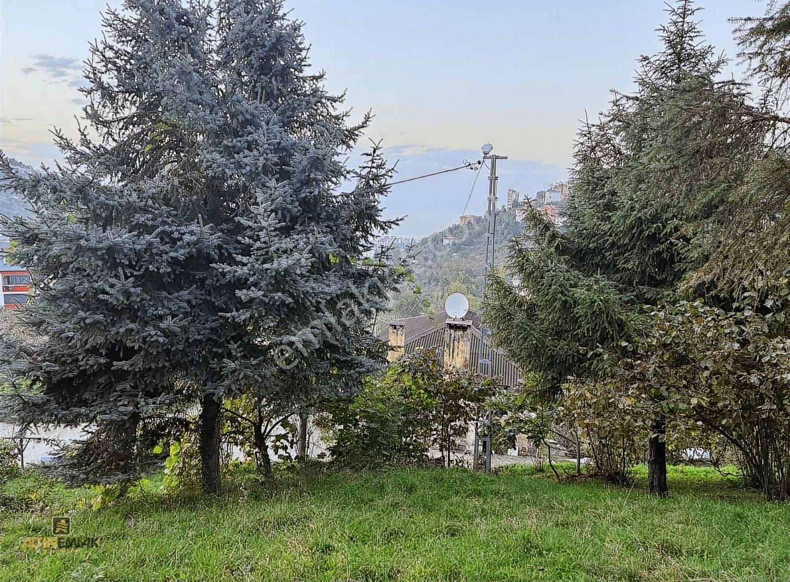 Altın Emlak Trabzon Bengisuda Satılık Arazi Müstakil Evler - Görsel 3