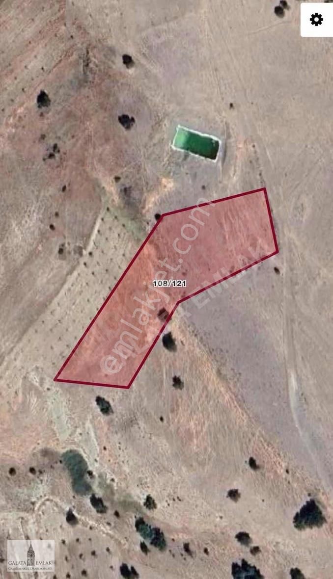 Akçadağ İkincilerde Satılık Arazi Tamamı 750 Bin - Görsel 2