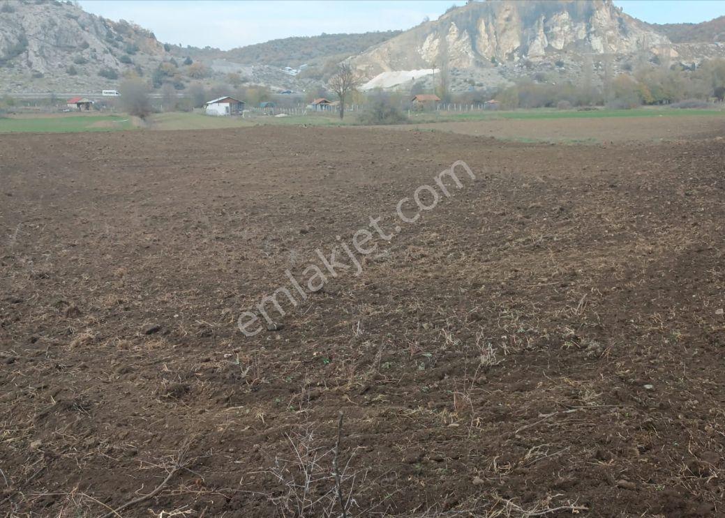 F.akboga Bilecik Kızılcapınar'da Satılık Tek Tapu Tarla 3211 M2 - Görsel 8