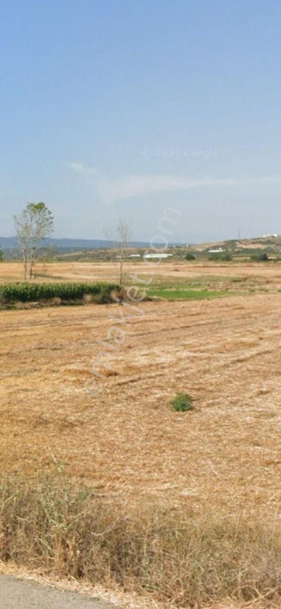 Karacabey Harmanlı Da Satılık Yatırımlık Tarla