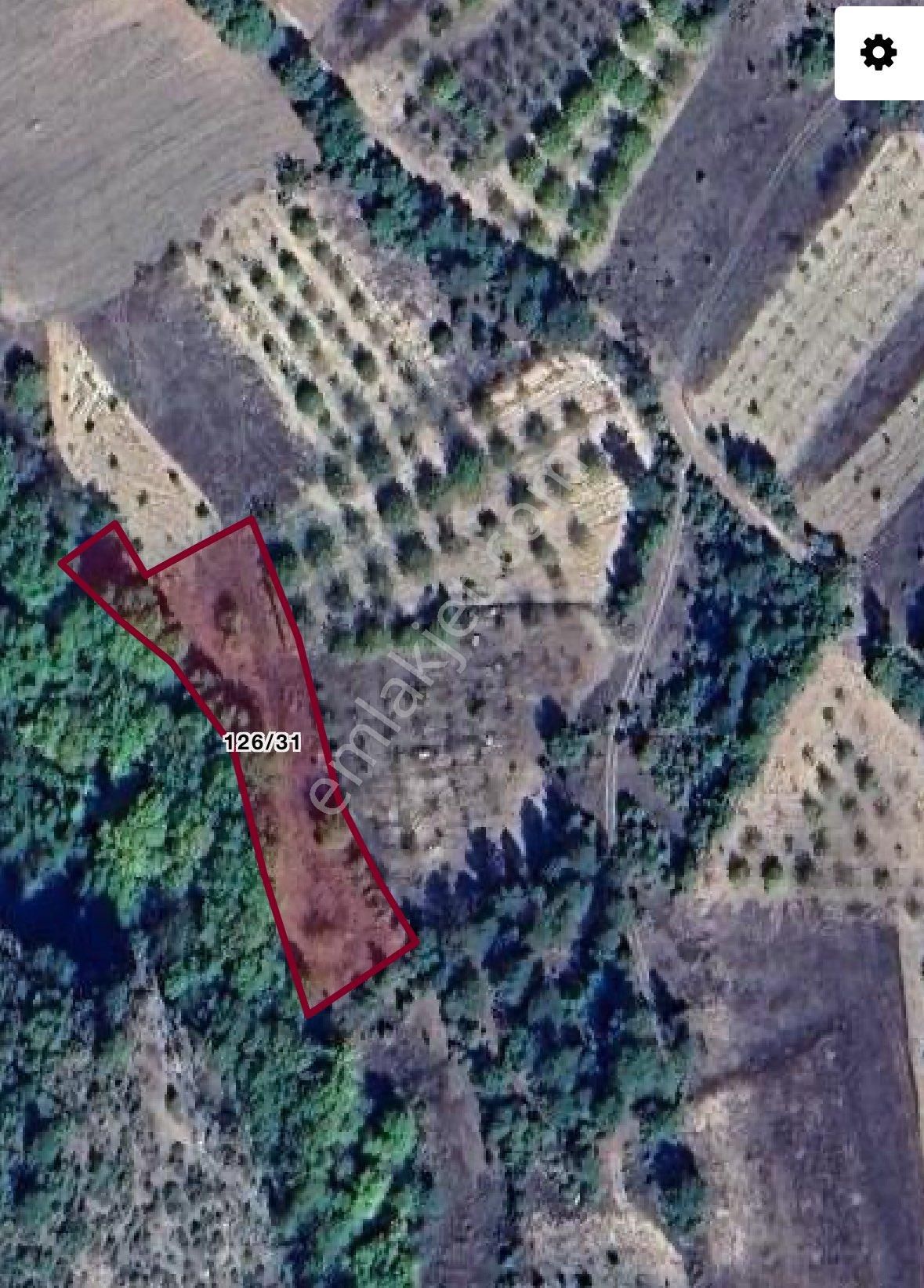 Keles Denizler Koyunde Satılık Bahceler - Görsel 5