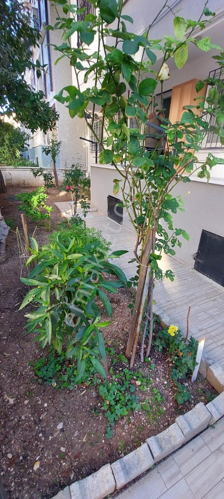 Didim Çamlıkta Denize Yakın Bahçeli2+1 Daire - Görsel 13