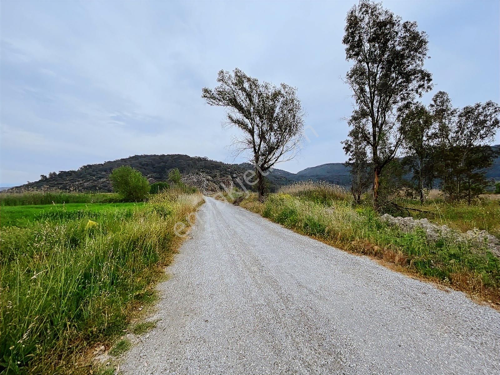 Ortaca Güzelyurt'ta Satılık 5000 M2 Müstakil Parsel Tarla - Görsel 4