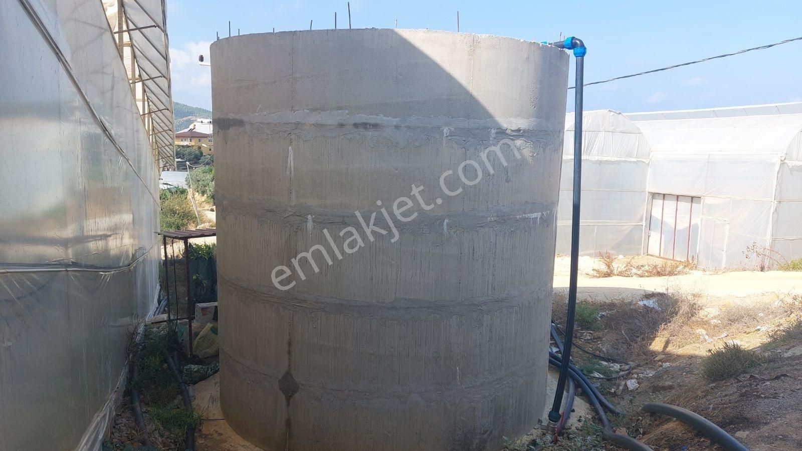 Alanya Hocalar Köyünde D-400 Yoluna Yakın Satılık Muz Bahçesi - Görsel 27