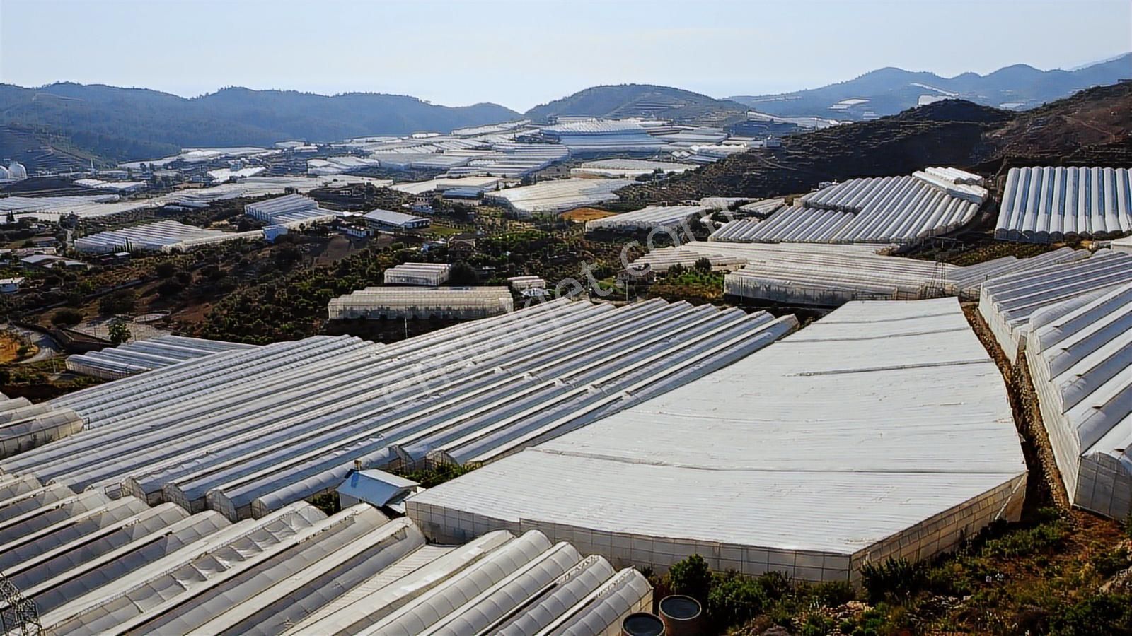 Alanya Hocalar Köyünde D-400 Yoluna Yakın Satılık Muz Bahçesi - Görsel 32