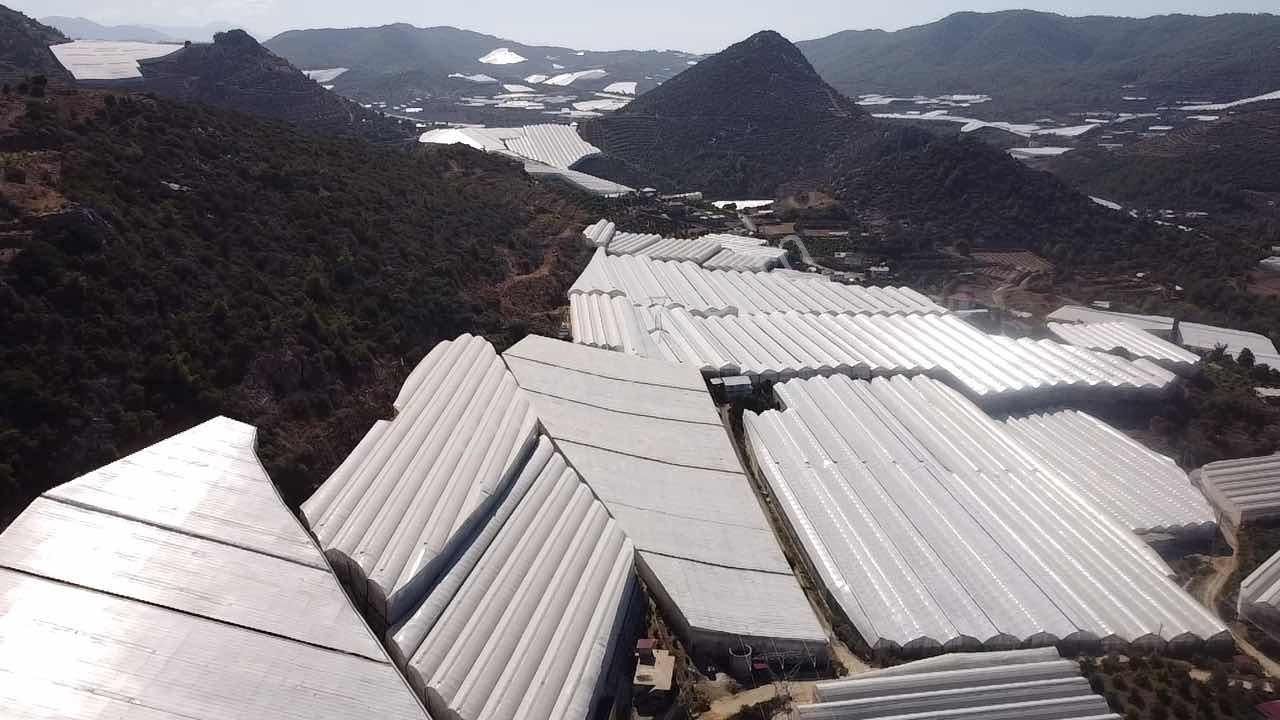 Alanya Hocalar Köyünde D-400 Yoluna Yakın Satılık Muz Bahçesi - Görsel 26