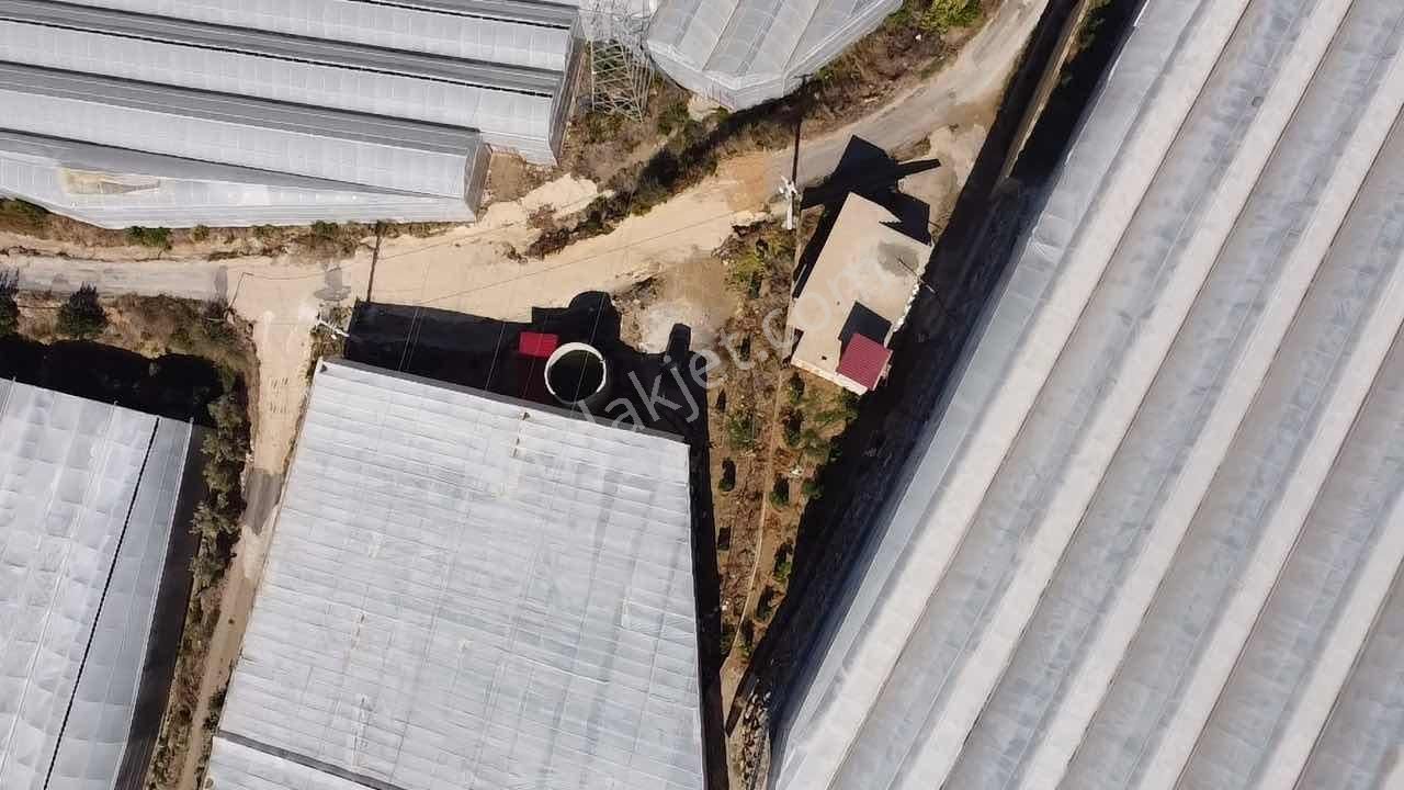 Alanya Hocalar Köyünde D-400 Yoluna Yakın Satılık Muz Bahçesi - Görsel 18