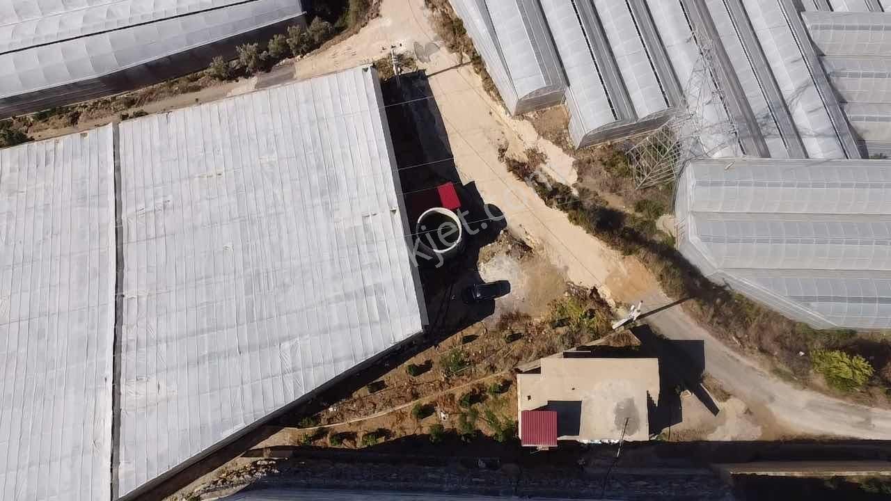 Alanya Hocalar Köyünde D-400 Yoluna Yakın Satılık Muz Bahçesi - Görsel 28