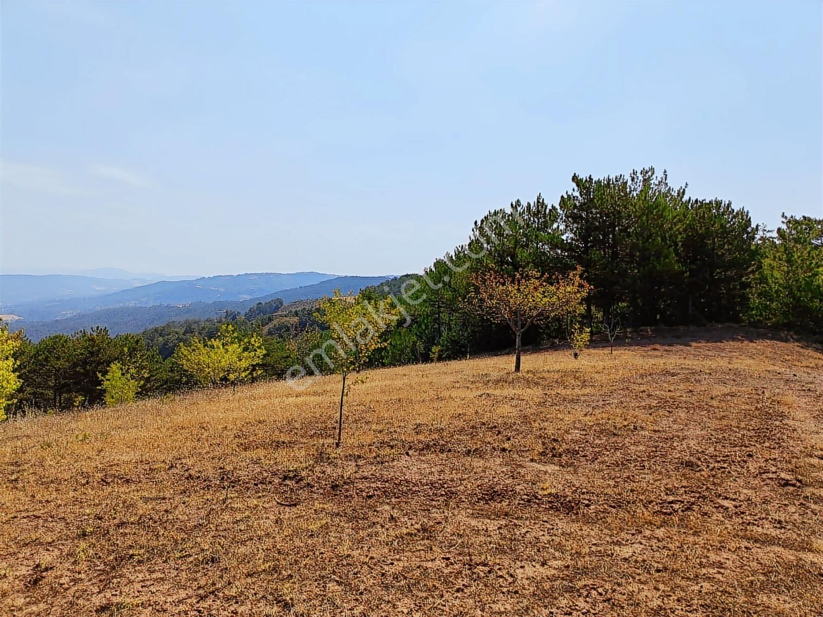 Sakarya Taraklı Pirler'de Manzaralık Hobi Bahçelik 5.291 M2 - Görsel 5