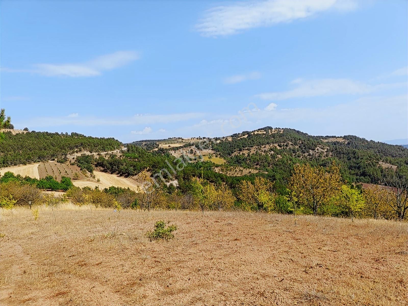 Sakarya Taraklı Pirler'de Manzaralık Hobi Bahçelik 5.291 M2 - Görsel 7