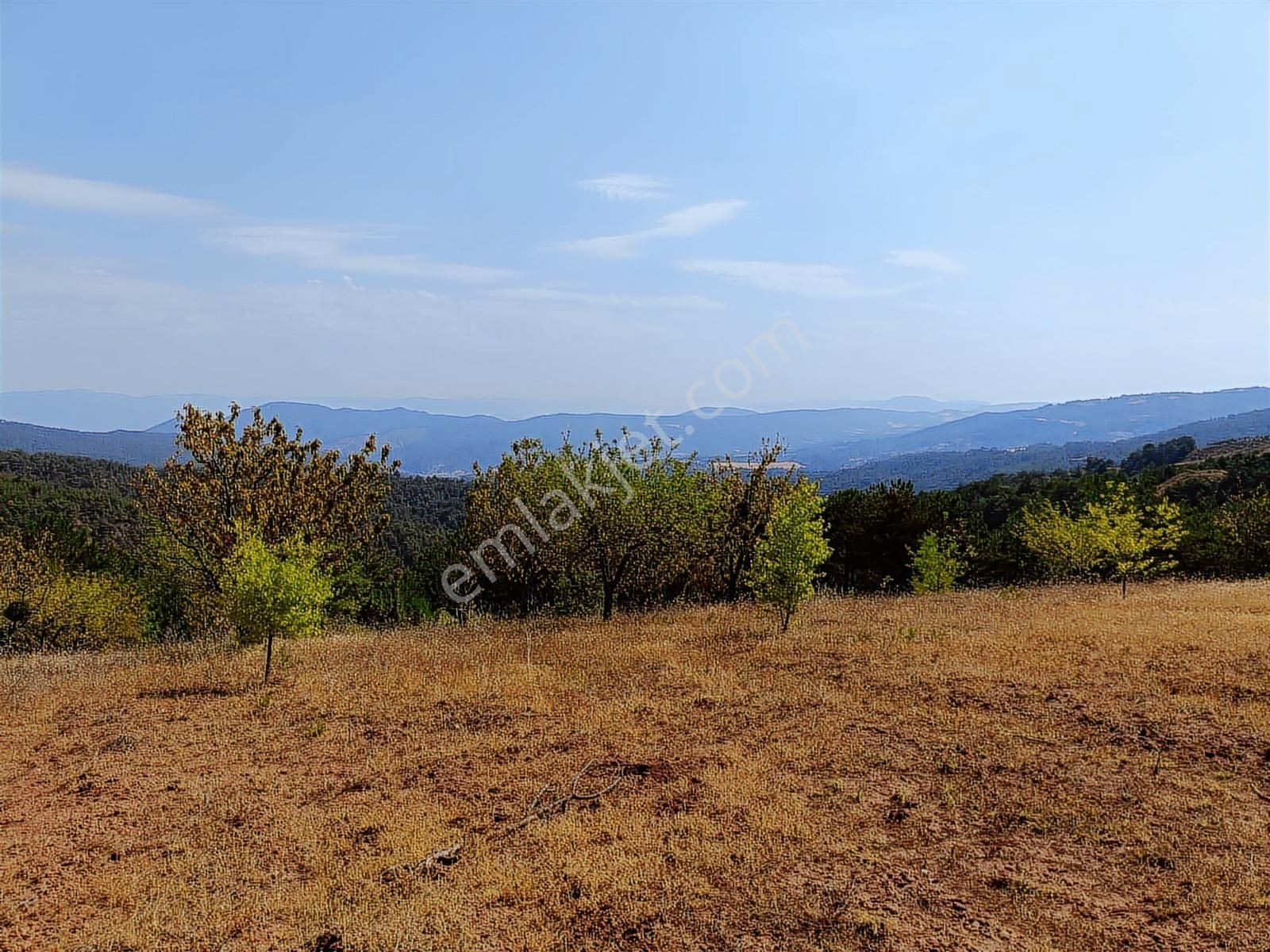 Sakarya Taraklı Pirler'de Manzaralık Hobi Bahçelik 5.291 M2 - Görsel 6