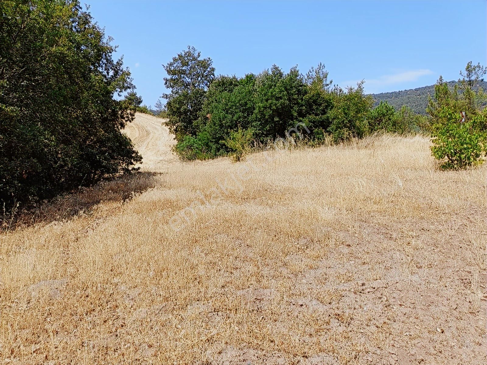 Sakarya Taraklı Pirler'de Uygun Yatırımlık Tarlalar 11.240 M2 - Görsel 4