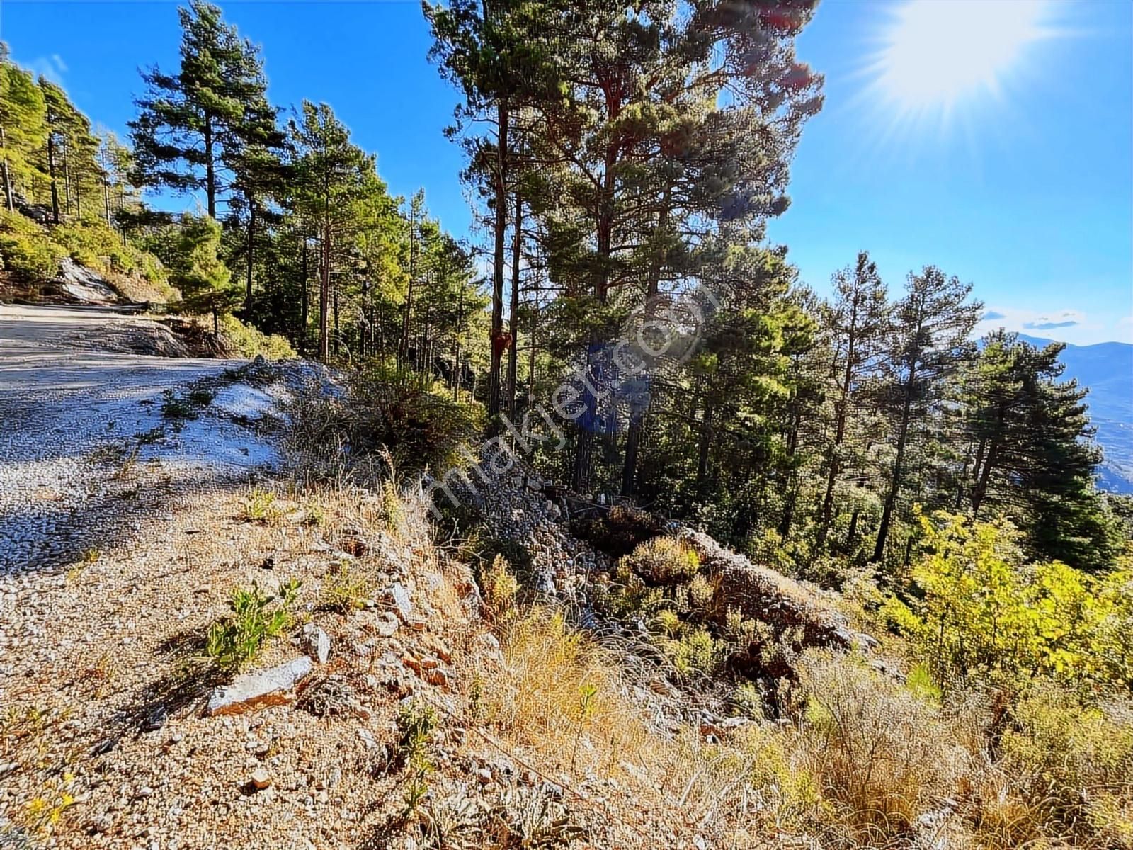 Alanya Uğurlu Da Yola Sıfır Baraj Manzaralı Tarla - Görsel 25