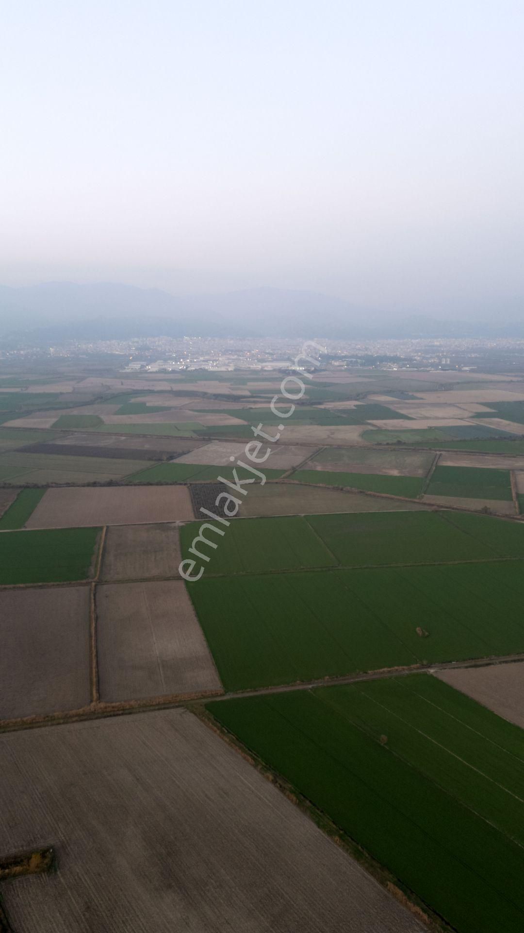 Sümer Mahallesinde Satılık 56 Dönüm Tarla - Görsel 7