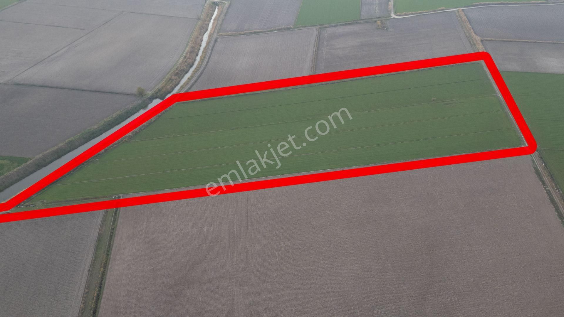 Sümer Mahallesinde Satılık 56 Dönüm Tarla - Görsel 2