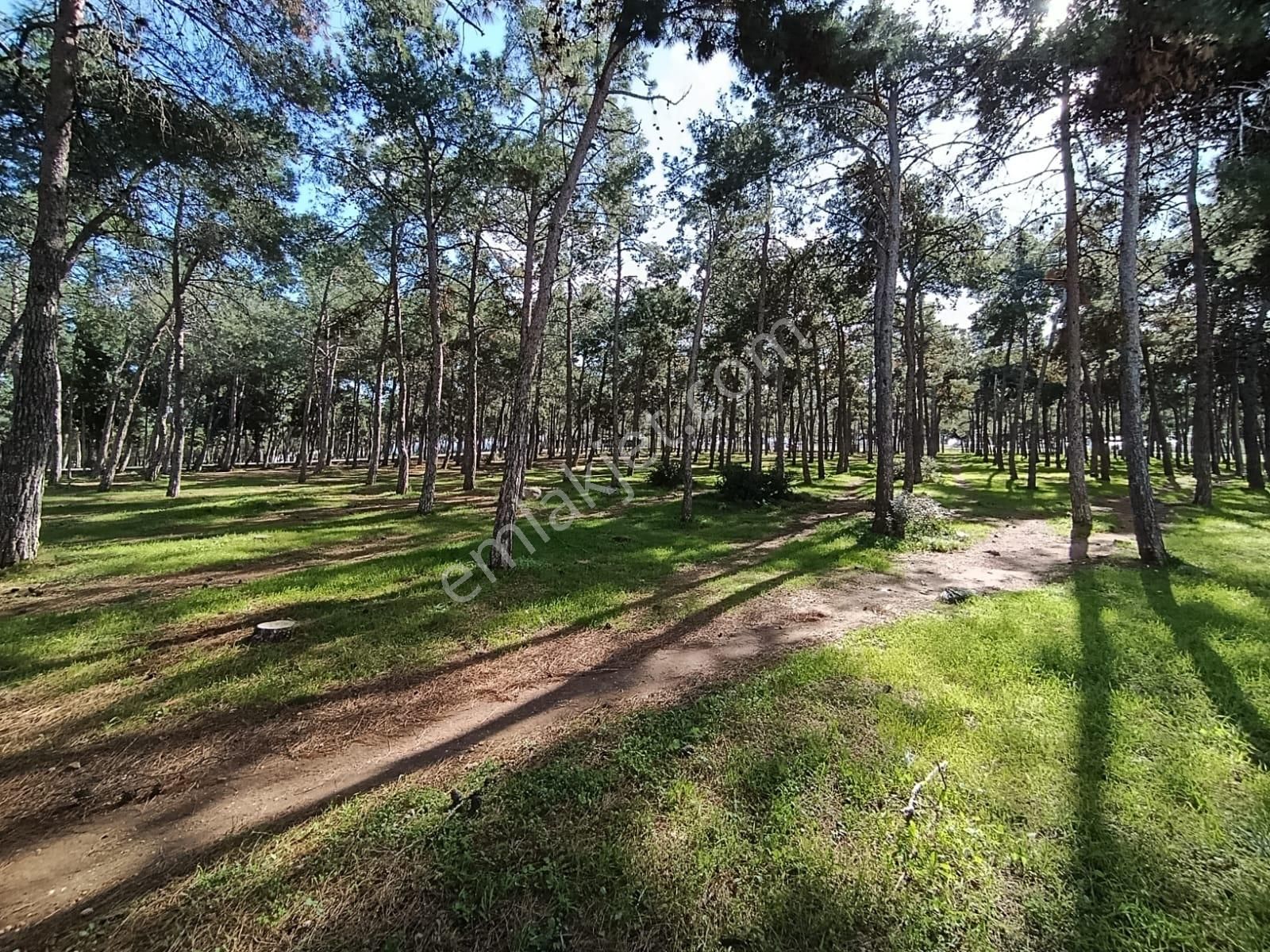 Didim Çamlık Mah.denize 200 Mt Mesafede Satılık 2+1 Eşyalı Daire - Görsel 28