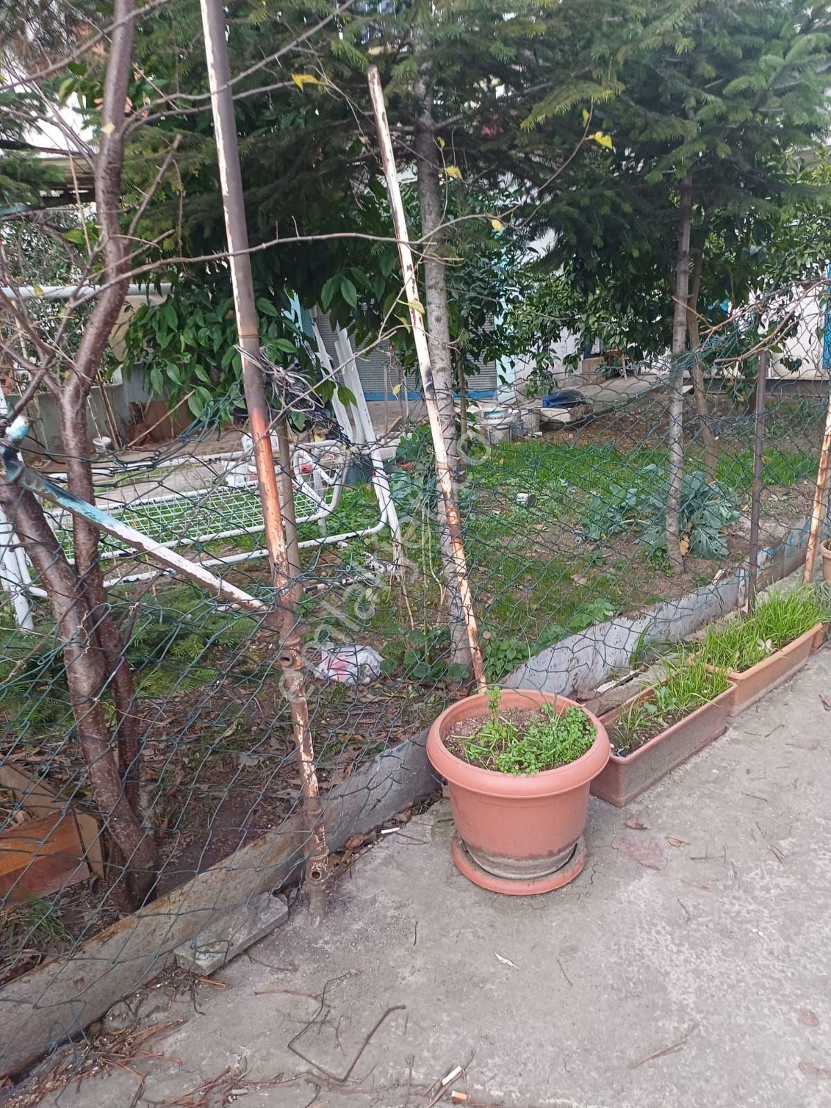 Yeni Çamlıca Mah De 1+1 Kiralık Daire - Görsel 7