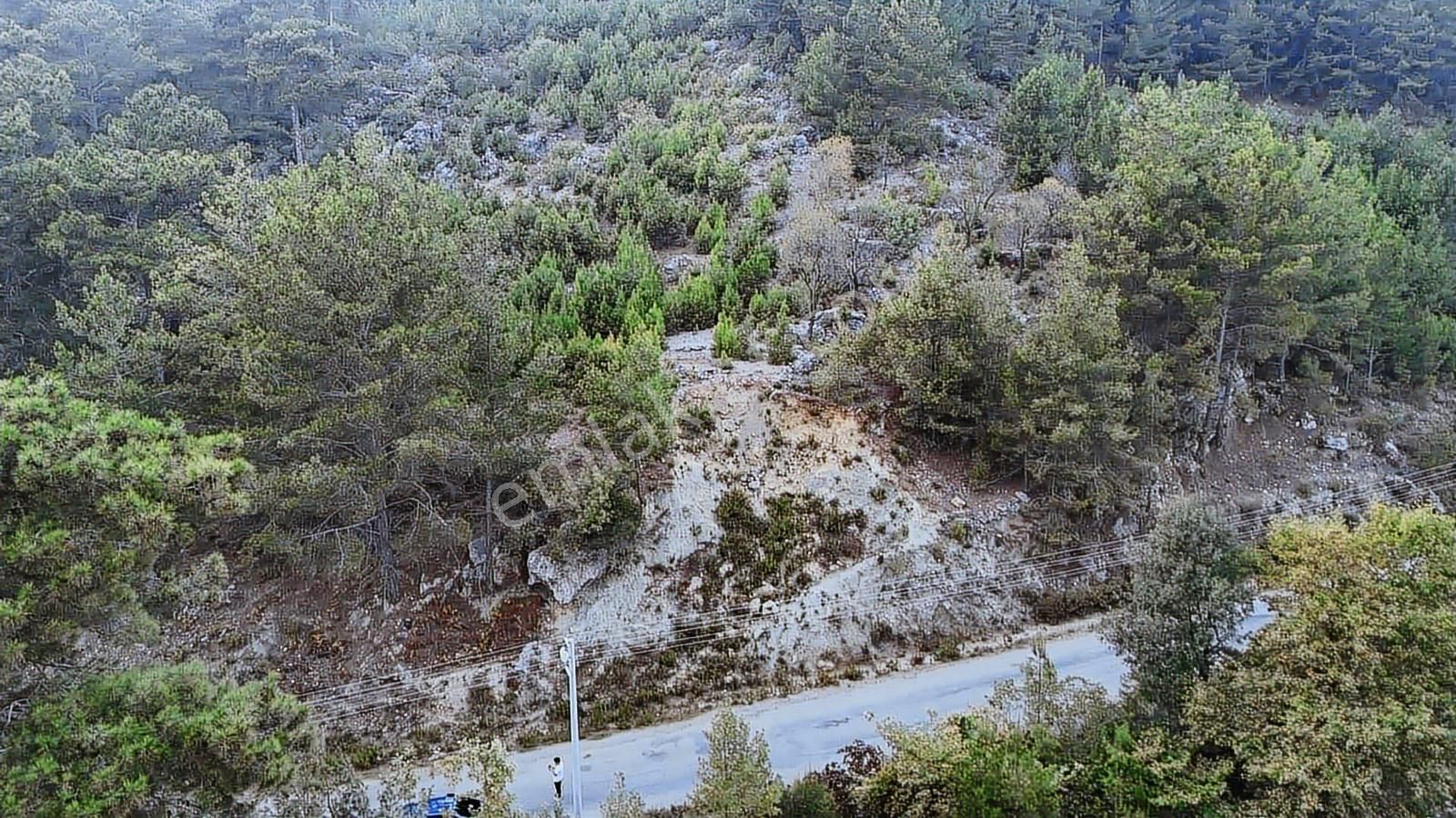 Alanya Toslak Kayabaşında 5.325m2 Satılık Kupon Tarla - Görsel 3