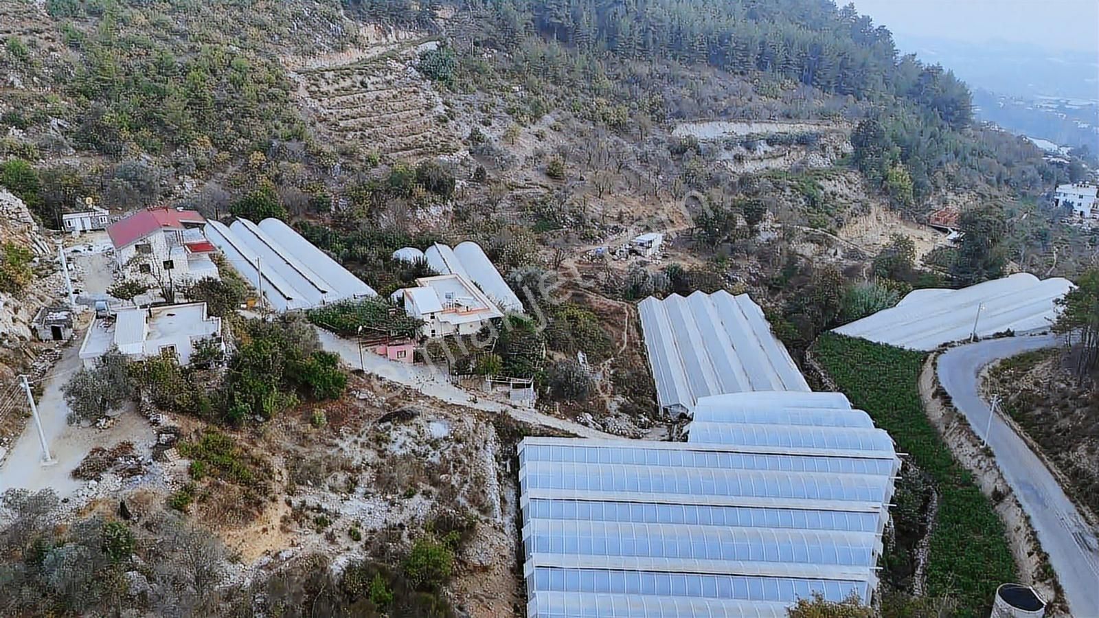 Alanya Toslak Kayabaşında 5.325m2 Satılık Kupon Tarla - Görsel 15