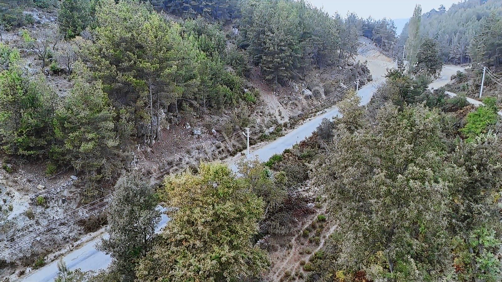 Alanya Toslak Kayabaşında 5.325m2 Satılık Kupon Tarla - Görsel 14