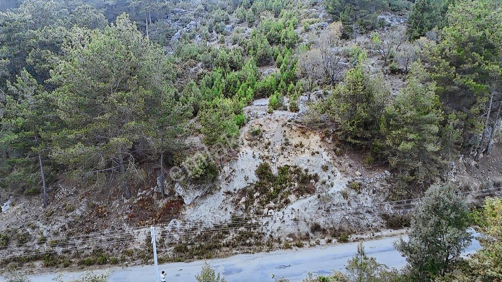 Alanya Toslak Kayabaşında 5.325m2 Satılık Kupon Tarla - Görsel 4