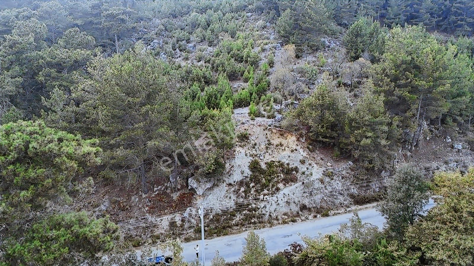 Alanya Toslak Kayabaşında 5.325m2 Satılık Kupon Tarla - Görsel 2