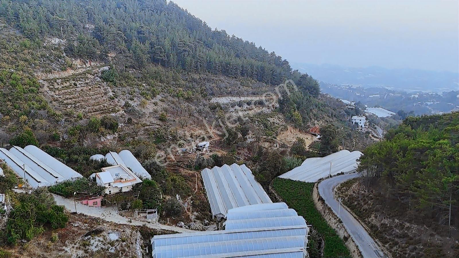 Alanya Toslak Kayabaşında 5.325m2 Satılık Kupon Tarla - Görsel 8