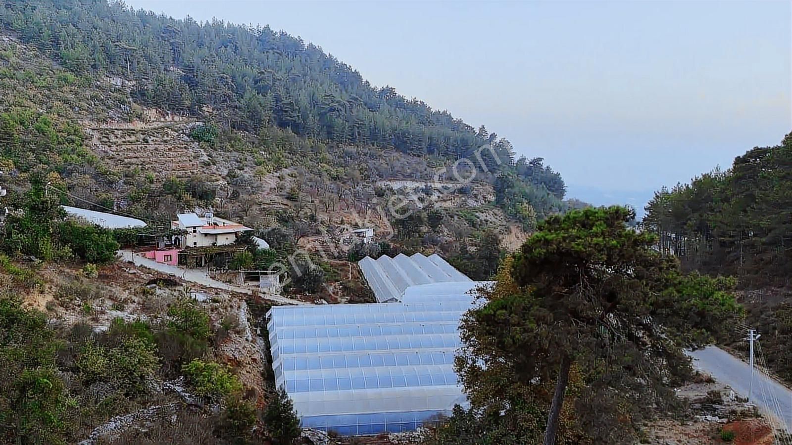 Alanya Toslak Kayabaşında 5.325m2 Satılık Kupon Tarla - Görsel 11