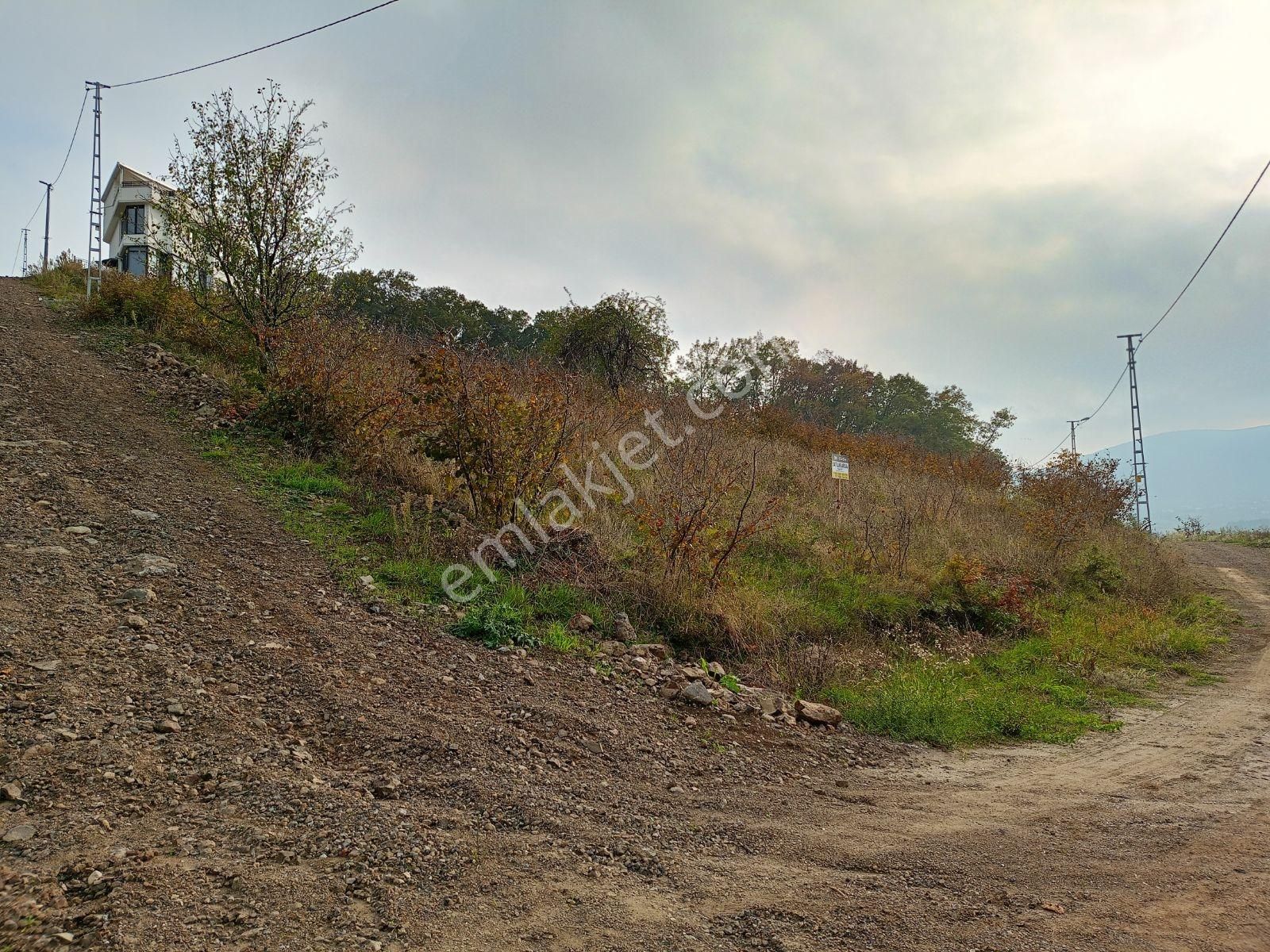 Damla Emlak,taflan Girişte Denizmanzralı Köşeparsel Satılık Arsa - Görsel 4