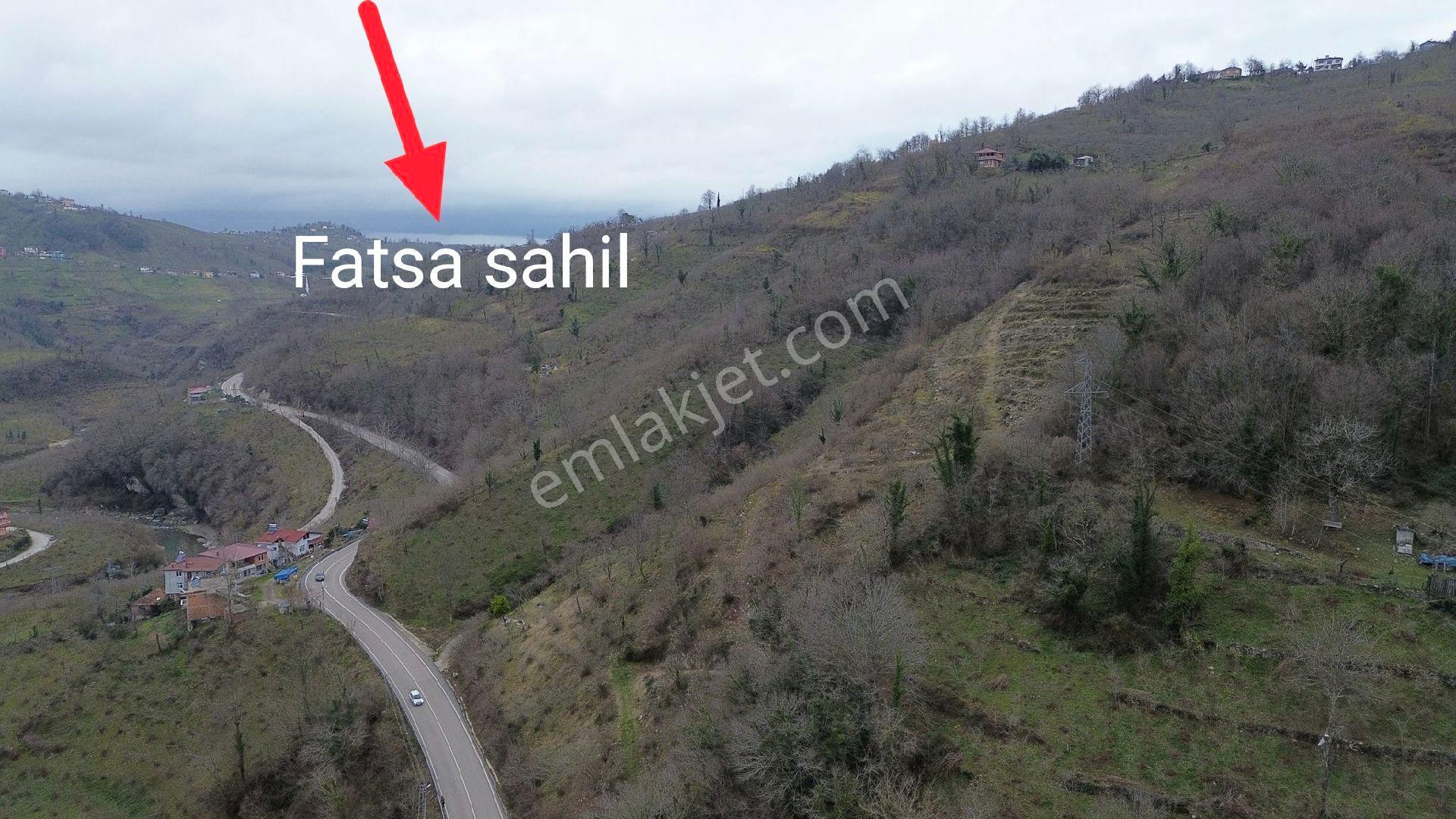 Fatsa Kavraz Mahallesi'nde Ilıca Yoluna Cephe 18 Dönüm Satılık Fındık Bahçesi - Görsel 4