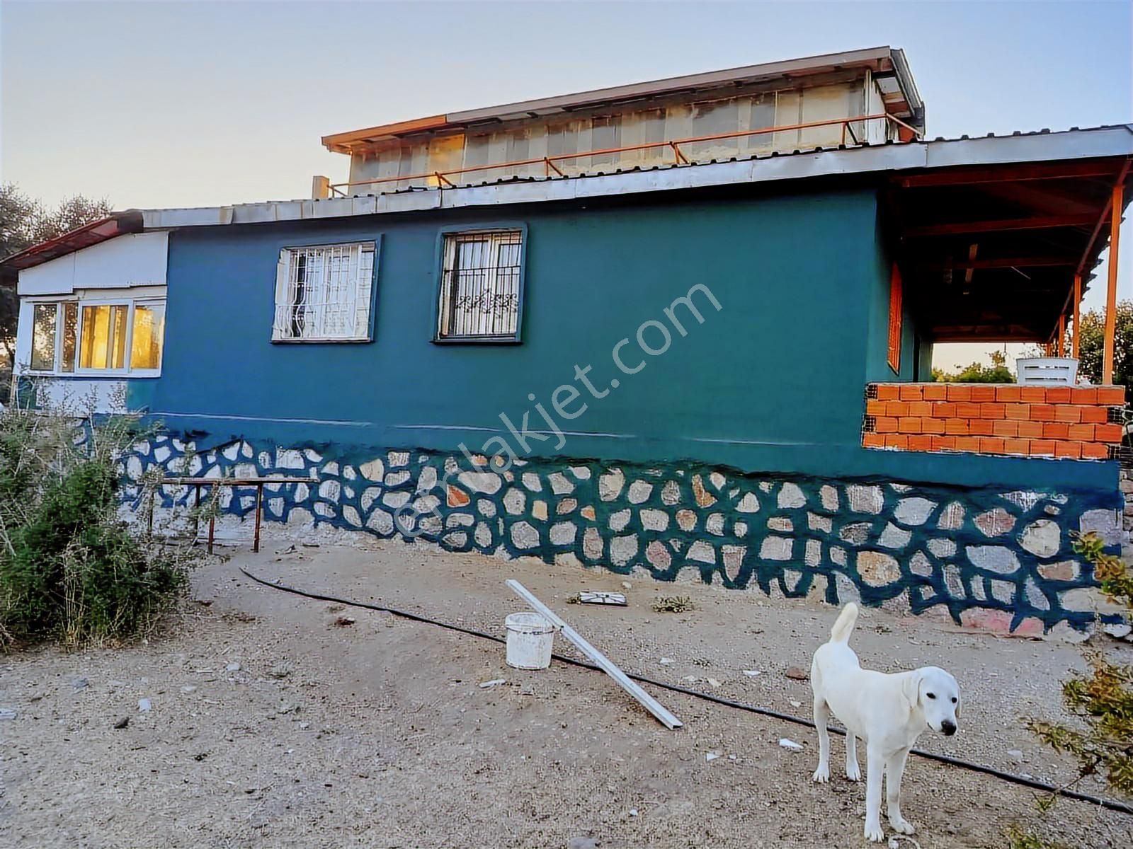 Karşıyaka'da 6.733 M² Suyu Ve Deposu Olan Yapı İzinli Çiftlik - Görsel 29