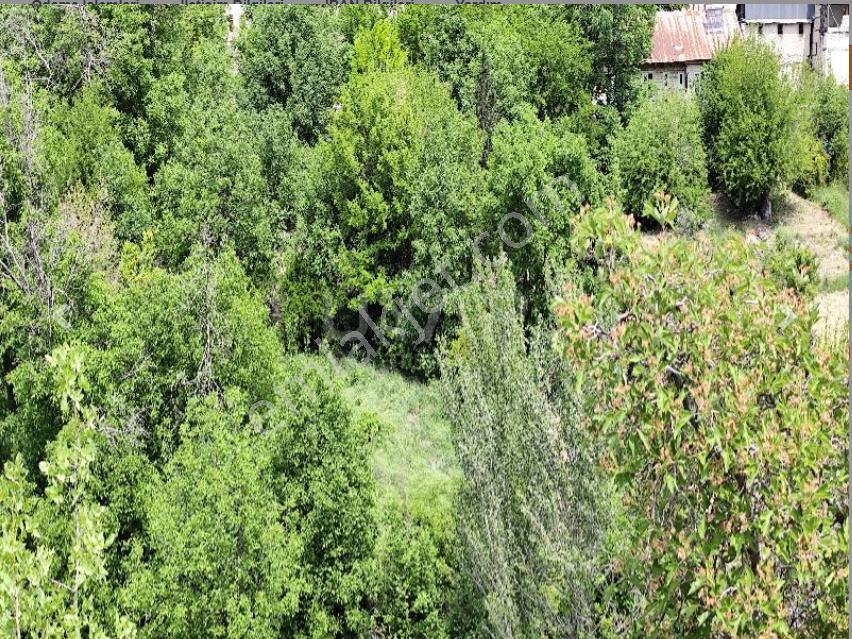 Elazığ Ağın 1 Dönüm Arsa Tapu Sahibi Perta Emlak Ümit Tahmaz - Görsel 5