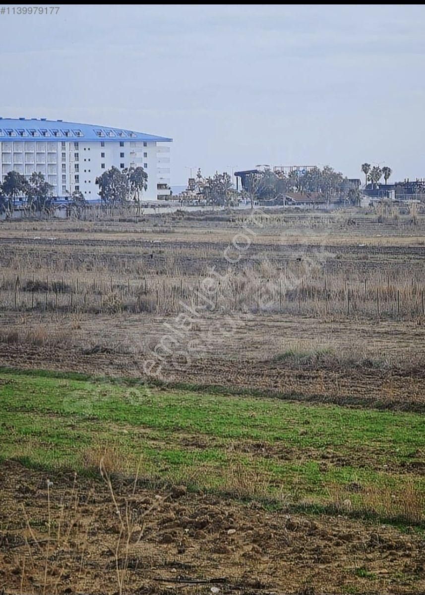 Kızılot Mahallesinde 1. Dönüm Hisseli Satılık Tarla - Görsel 4