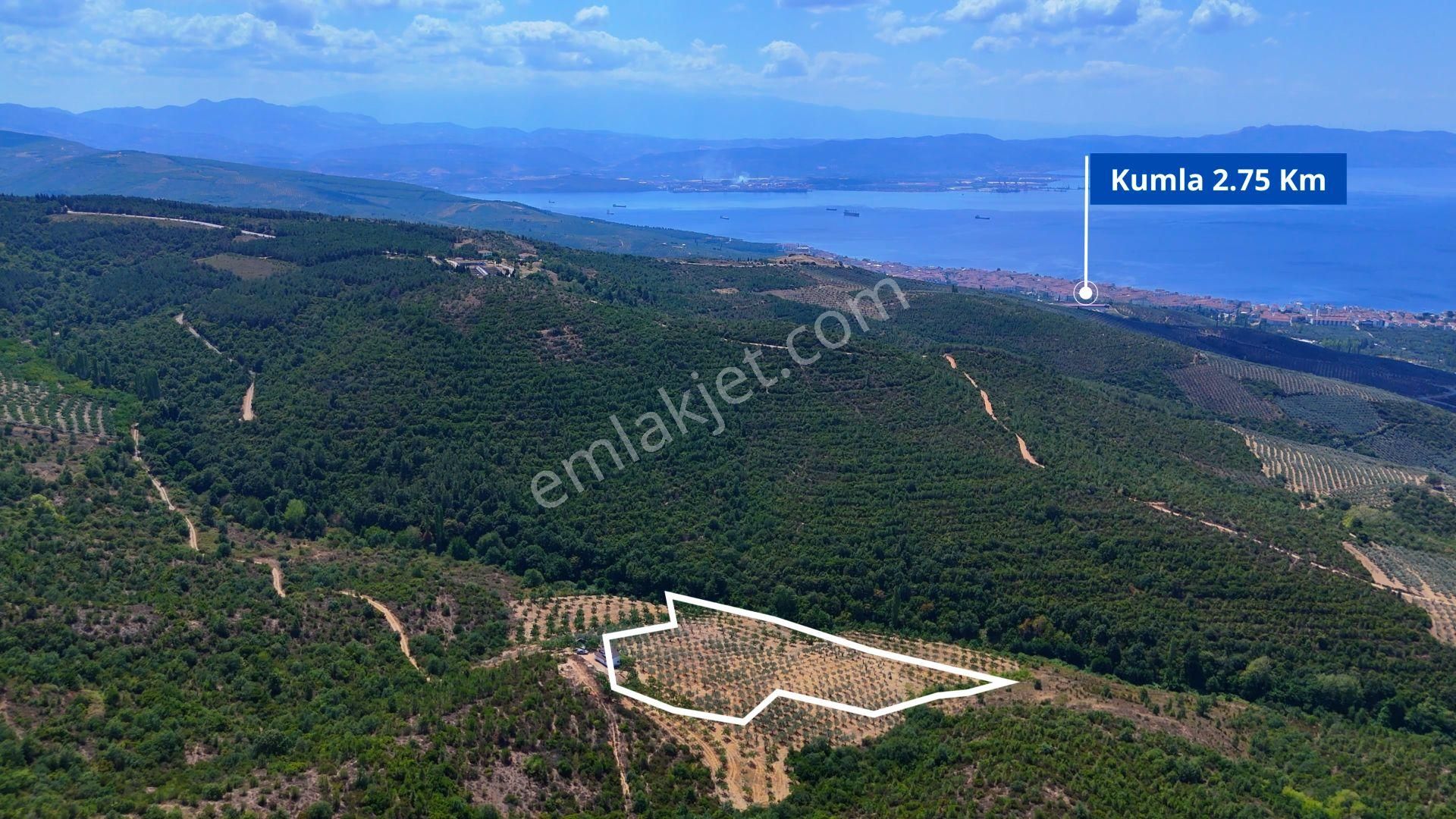 Gemlik Büyükkumla Manzaralı Ve Avantajlı Satılık Tarla - Görsel 6