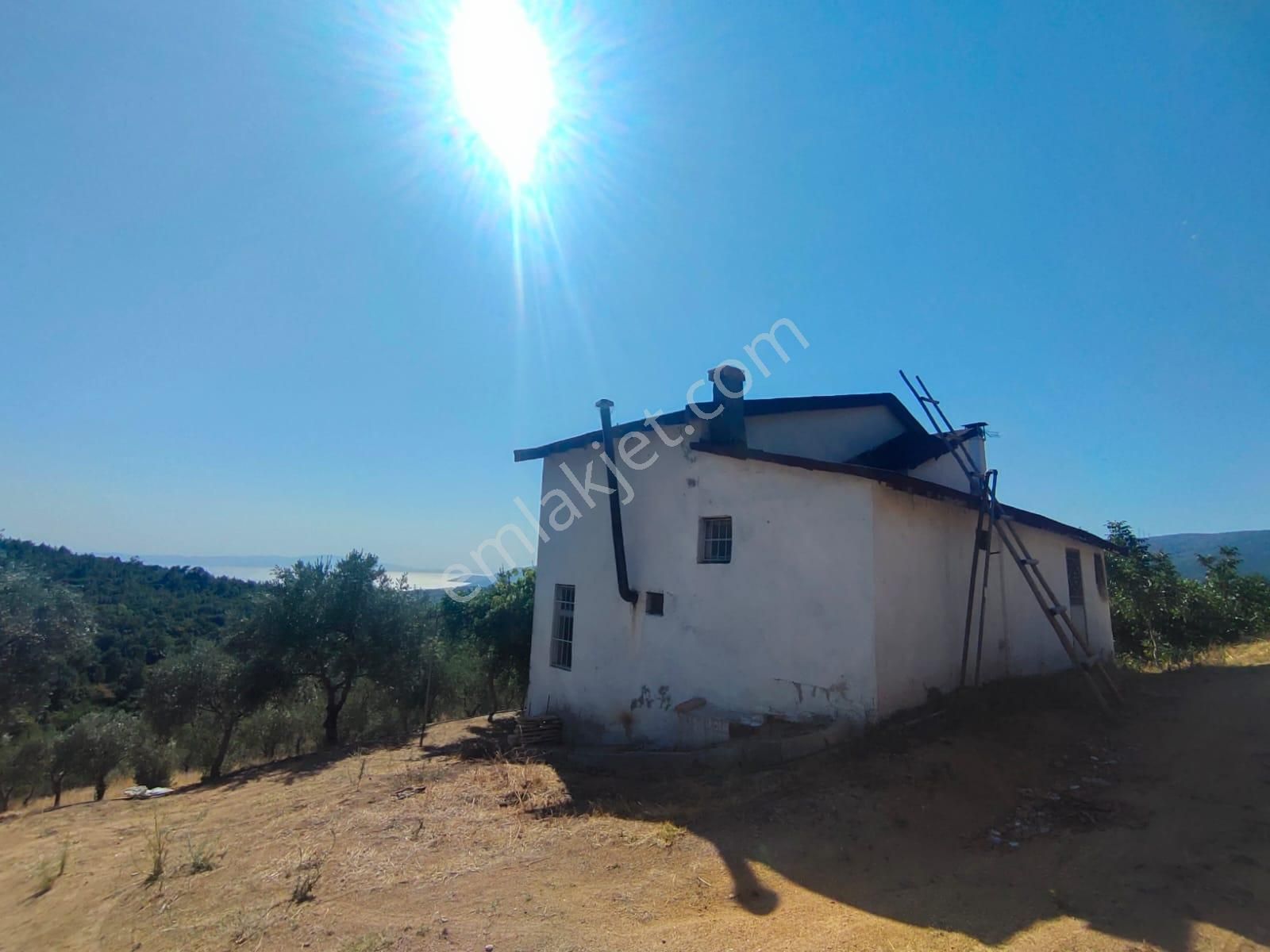 Gemlik Büyükkumla Manzaralı Ve Avantajlı Satılık Tarla - Görsel 25
