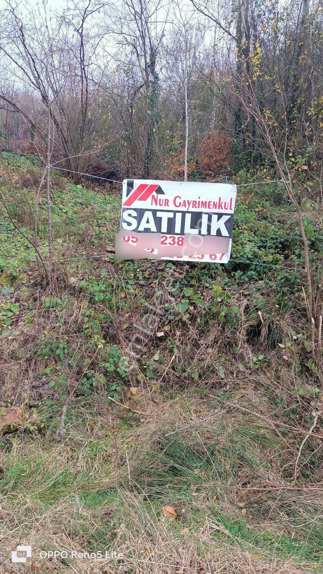 Satılık Arazi 5 Dönüm - Görsel 12