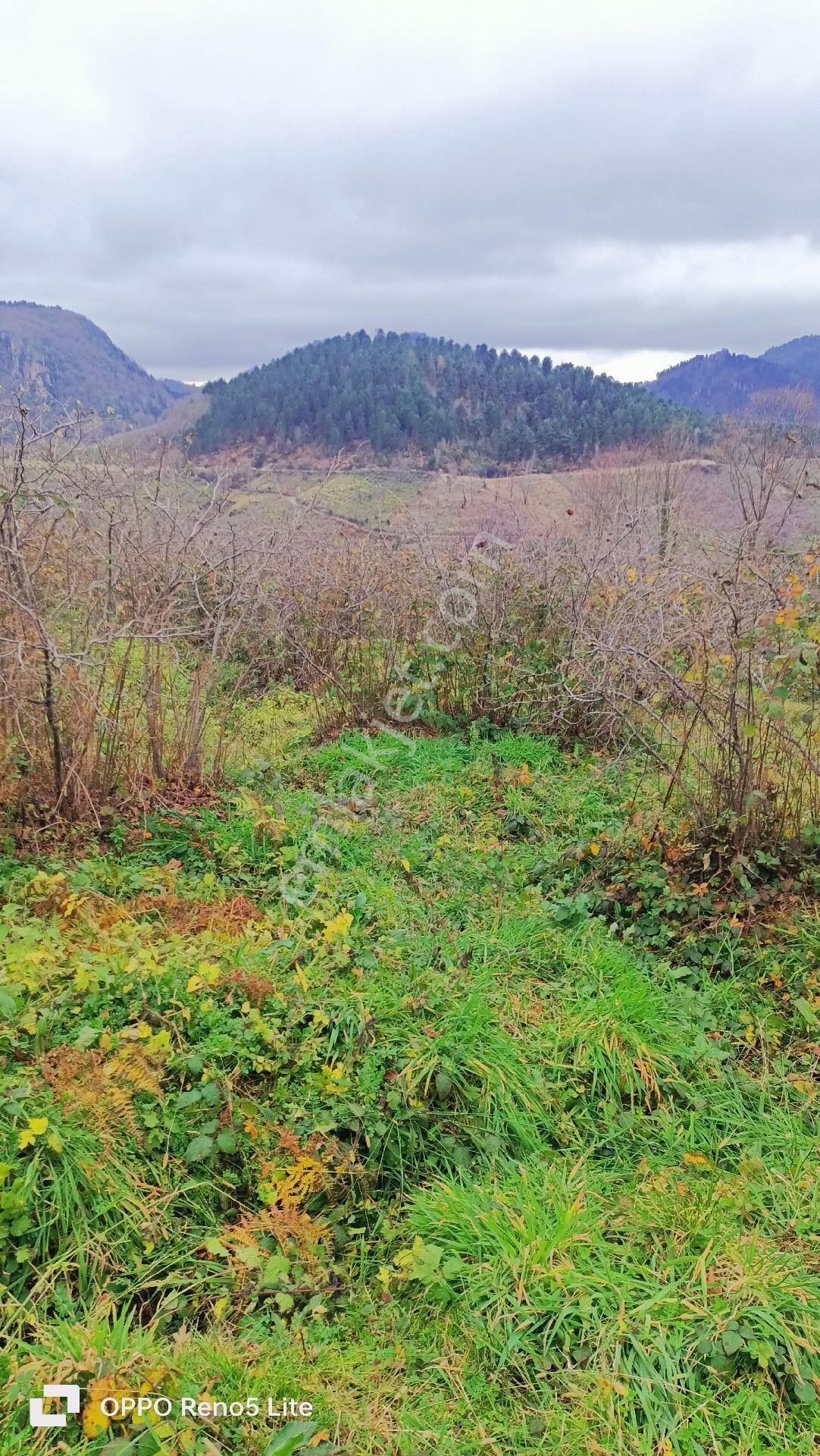 Satılık Arazi 5 Dönüm - Görsel 21