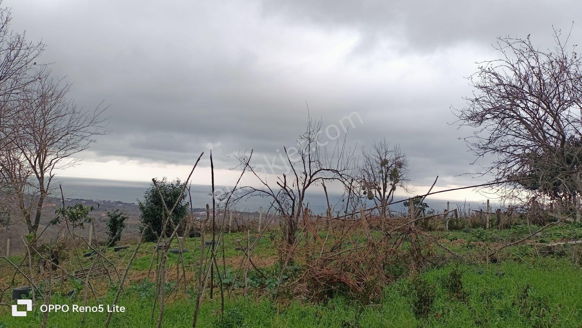 Satılık Arazi 5 Dönüm - Görsel 5