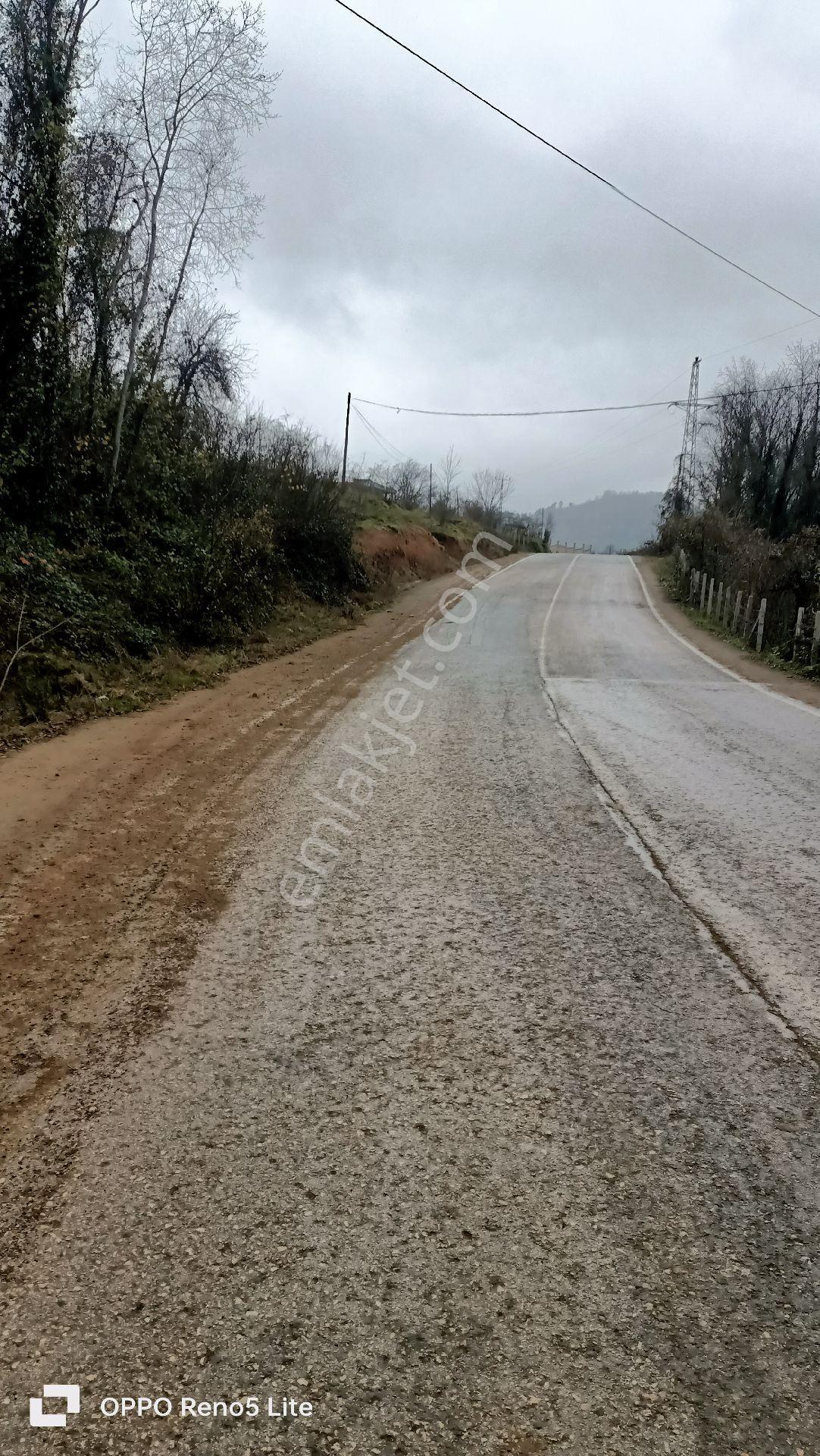 Satılık Arazi 5 Dönüm - Görsel 18