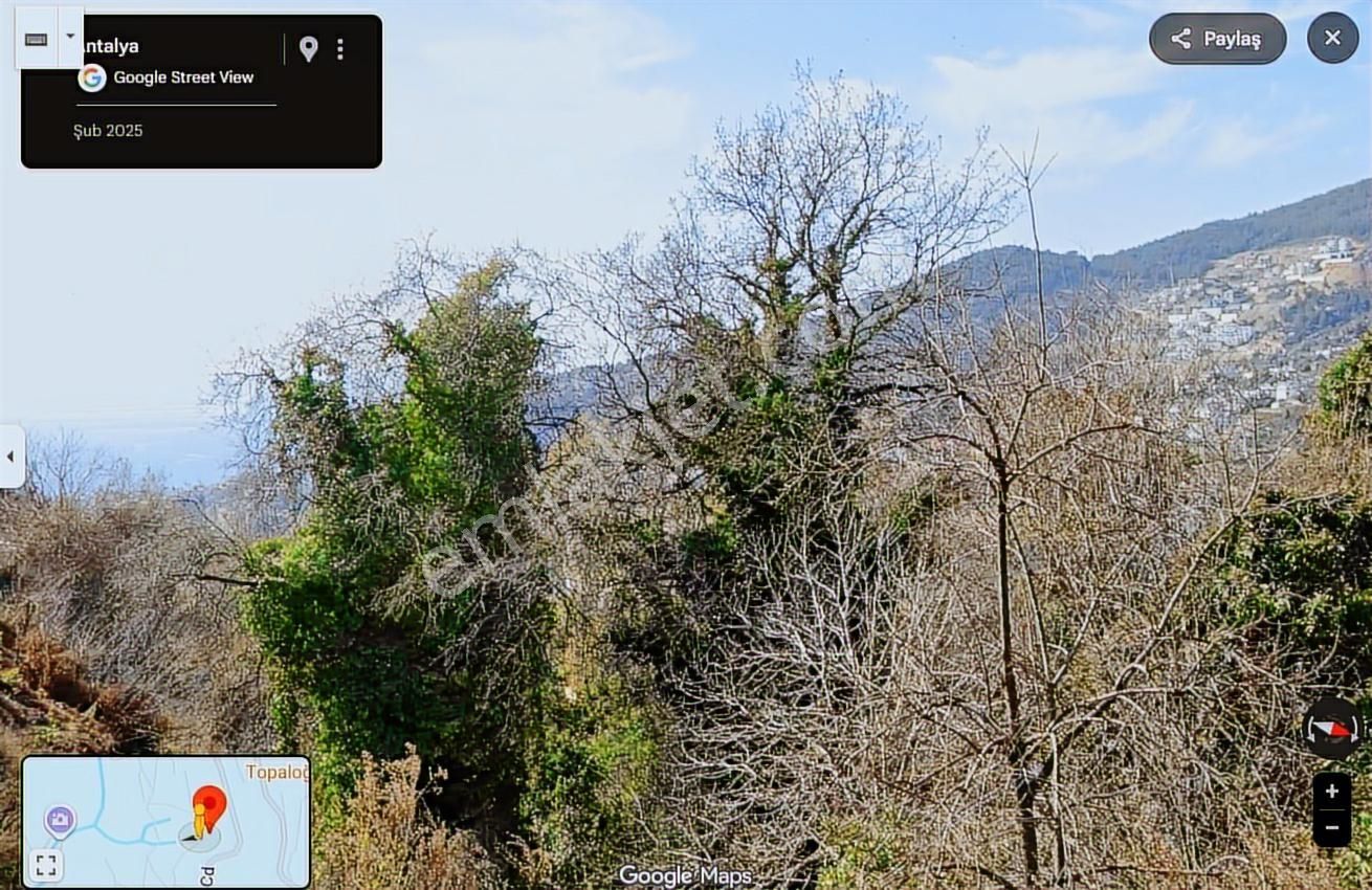 Alanya Bektaş'ta 1464 M2 Doğa Ve Deniz Manzaralı İmara Açık Arsa - Görsel 9