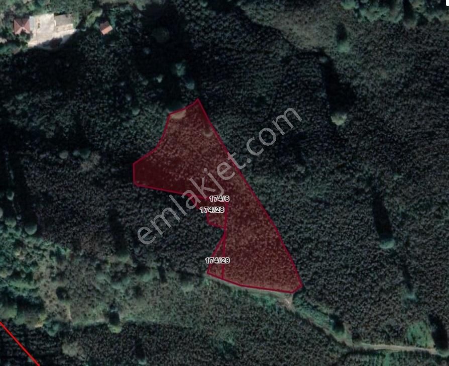 Köy Merkezine Yakın Verimli Satılık Fındık Bahçesi - Görsel 4