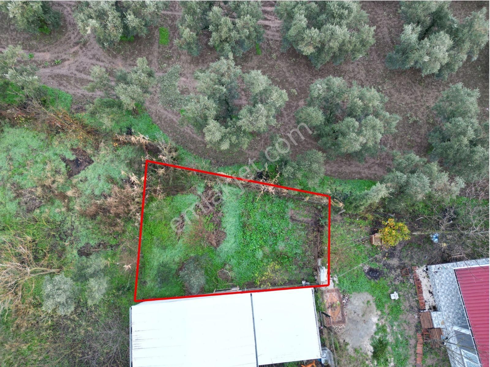 Gemlik Gençali Mahallesi Kumsaz Merkezde Satılık Tarla - Görsel 4